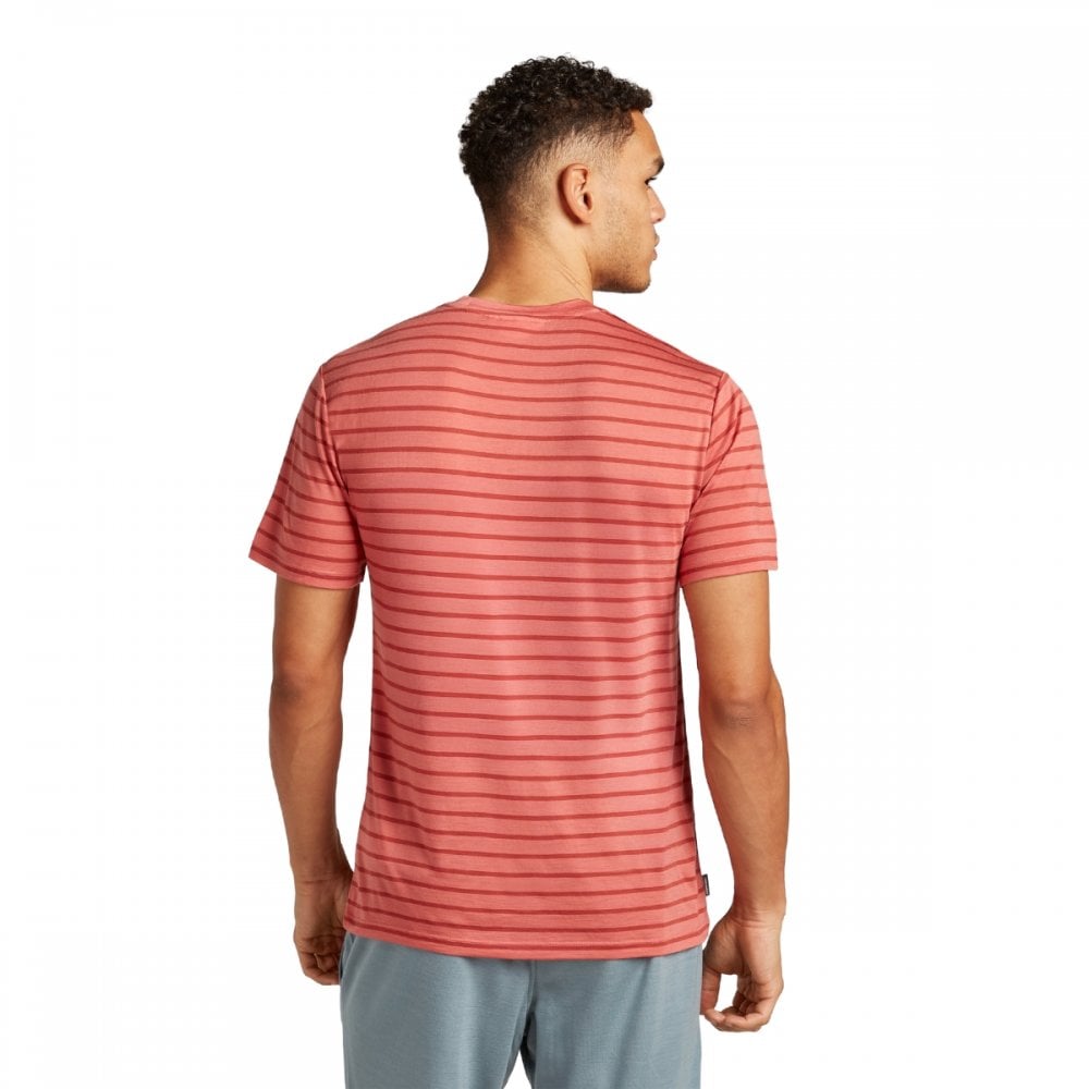Mens Merino Blend Drayden Short Sleeve T-Shirt Stripe